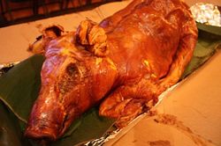 Lechon